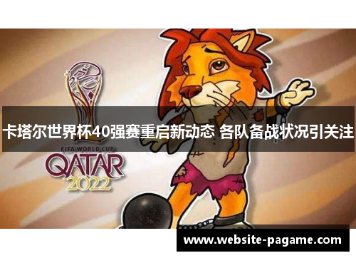 卡塔尔世界杯40强赛重启新动态 各队备战状况引关注