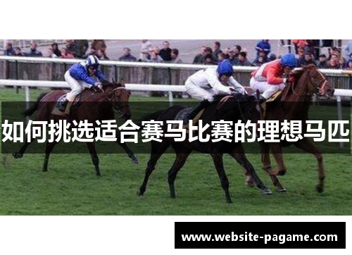 如何挑选适合赛马比赛的理想马匹