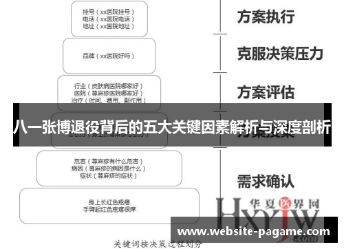 八一张博退役背后的五大关键因素解析与深度剖析
