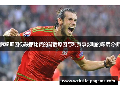 武桐桐因伤缺席比赛的背后原因与对赛事影响的深度分析