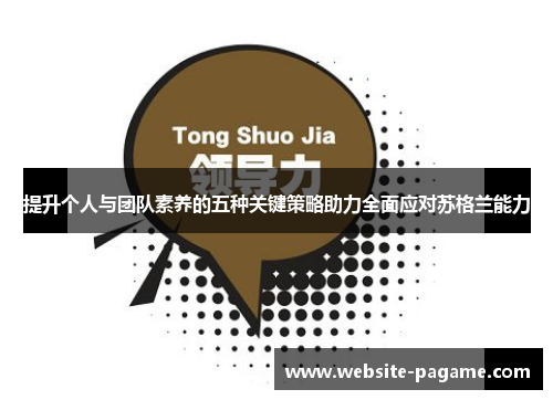 提升个人与团队素养的五种关键策略助力全面应对苏格兰能力