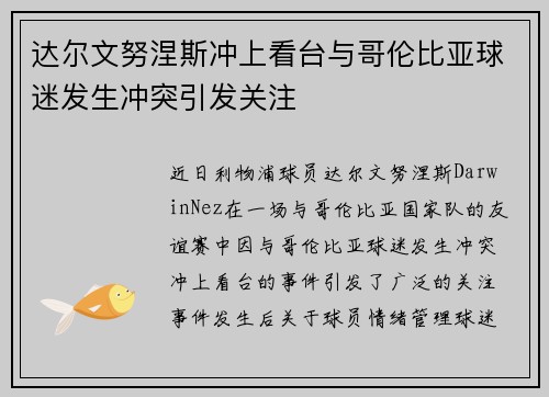 达尔文努涅斯冲上看台与哥伦比亚球迷发生冲突引发关注
